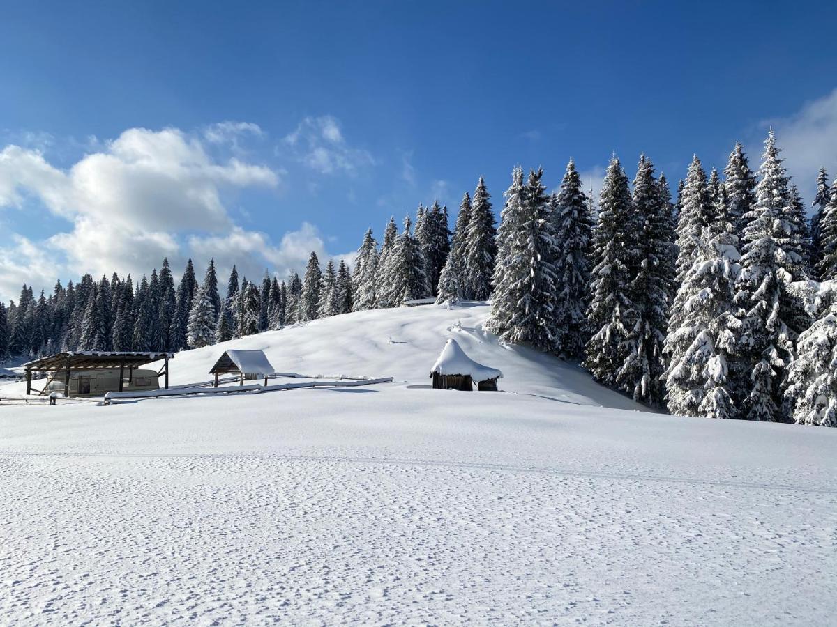 Pensiunea Bradet - Padis Exterior foto